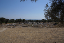 Hochhellenistischer Tempel des Dionysos in Teos, errichtet zwischen 220 und 190 v. Chr.