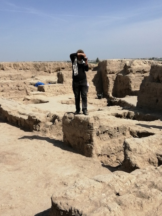 ausgrabungskampagne_25_6