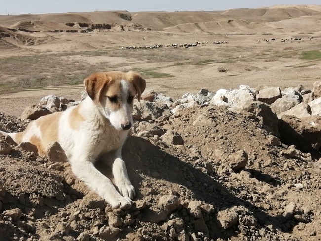 ausgrabungskampagne_25_7